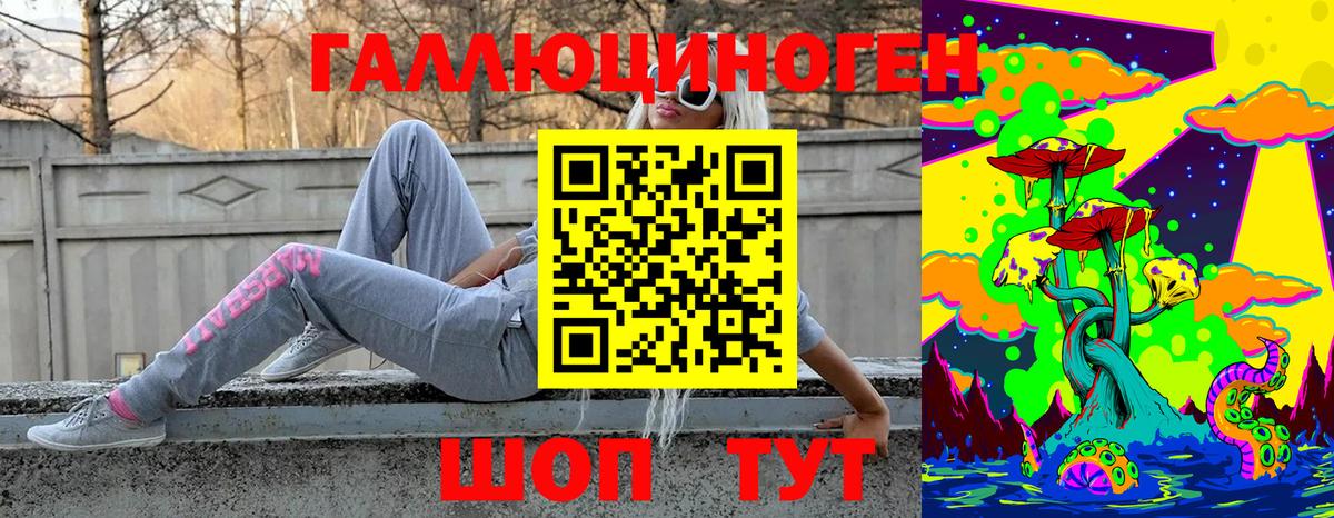 Лениногорск  Псилоцибиновые грибы мухоморы  Вход с VPN 